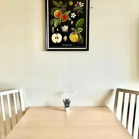 Renove Proche Centre-ville Lyon Villeurbanne