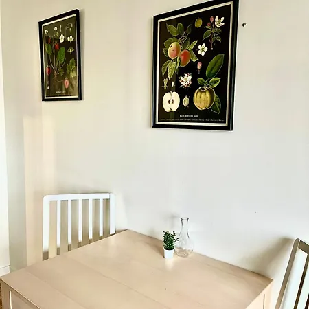 Renove Proche Centre-ville Lyon